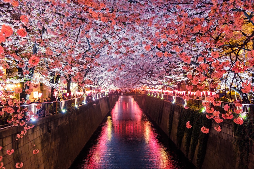 離島の潮読み——干潮の時間を活かす
